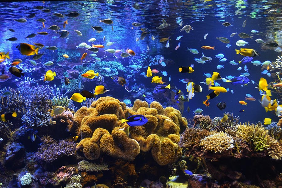 鳥羽水族館