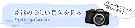 豊浜の美しい景色を見る