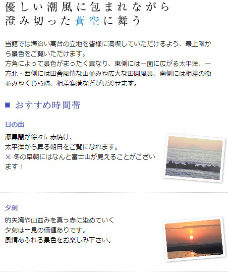 優しい潮風に包まれながら澄み切った蒼空に舞う